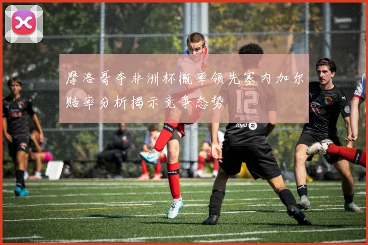 摩洛哥夺非洲杯概率领先塞内加尔赔率分析揭示竞争态势